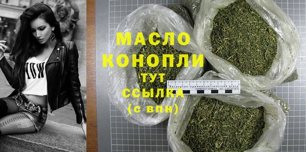 шишки Няндома