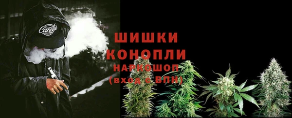 шишки Няндома