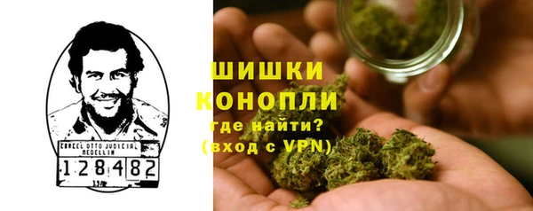 шишки Няндома