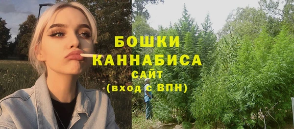 шишки Няндома