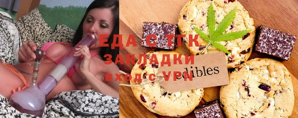 шишки Няндома