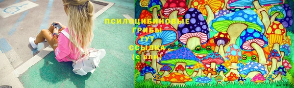 спиды Абаза