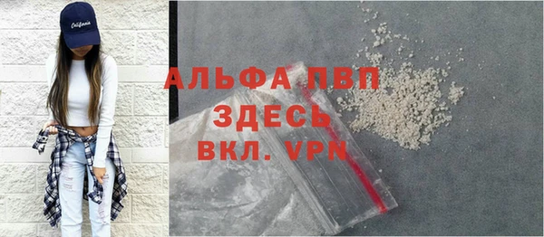 спиды Абаза