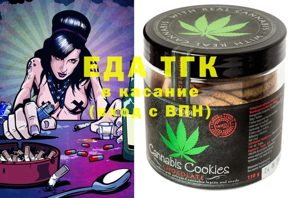 шишки Няндома