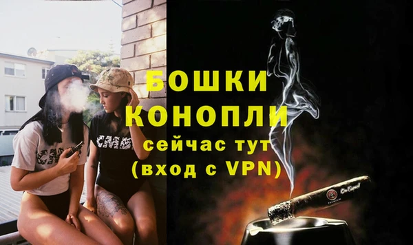 шишки Няндома